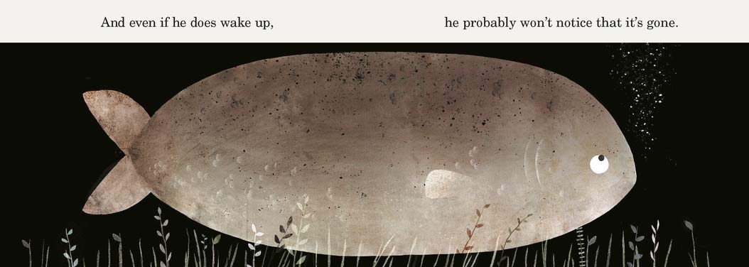 This Is Not My Hat Jon Klassen board book