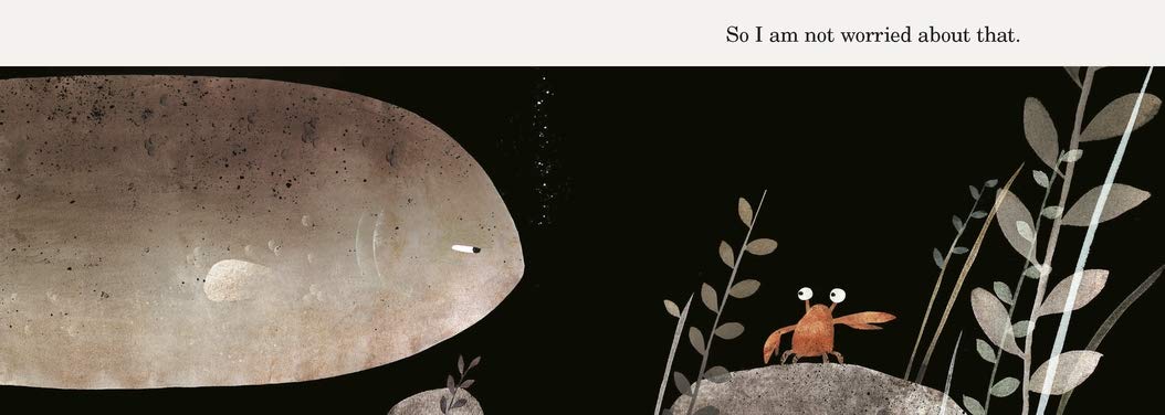 This Is Not My Hat Jon Klassen board book