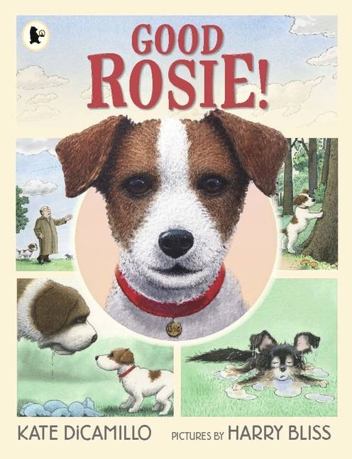 Good Rosie! kniha v pevné vazbě první čtení v angličtině