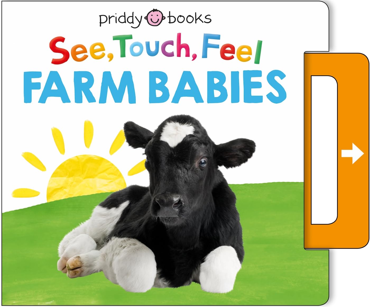 See, Touch, Feel: Farm Babies zábavná kniha dětem anglicky
