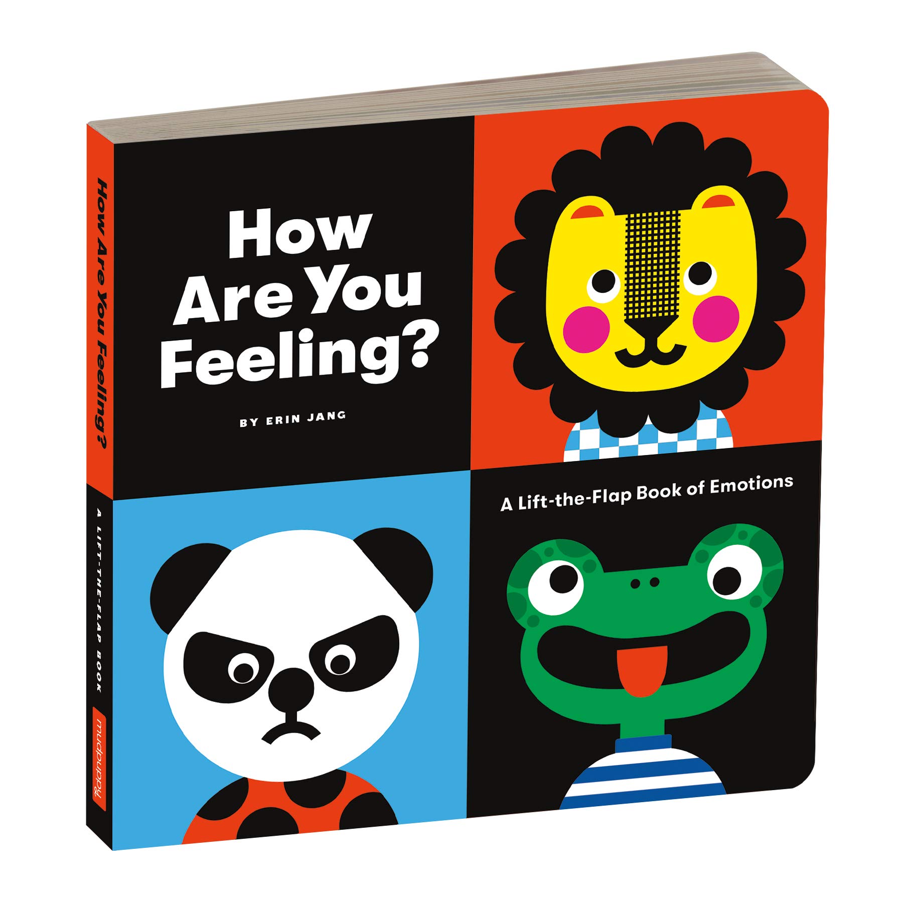 How Are You Feeling kniha v angličtině o pocitech pro nejmenší