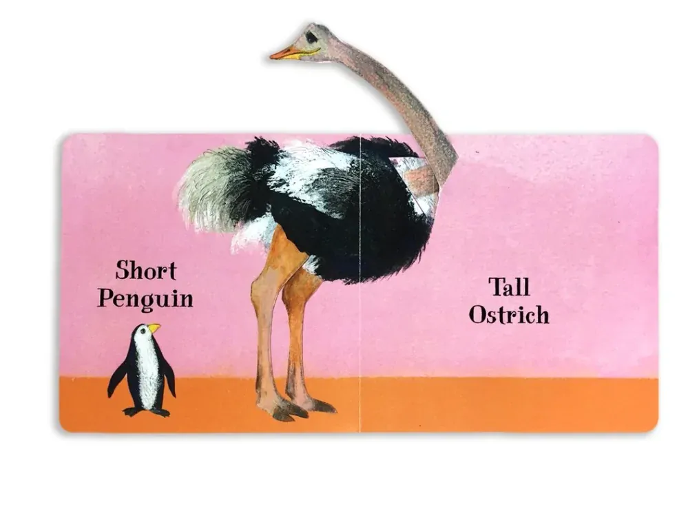 Who Is the Biggest? Petr Horáček (board book)