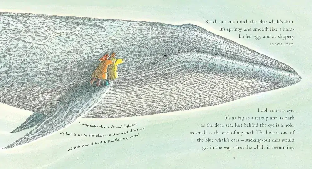 Big Blue Whale kniha od Nicoly Davies