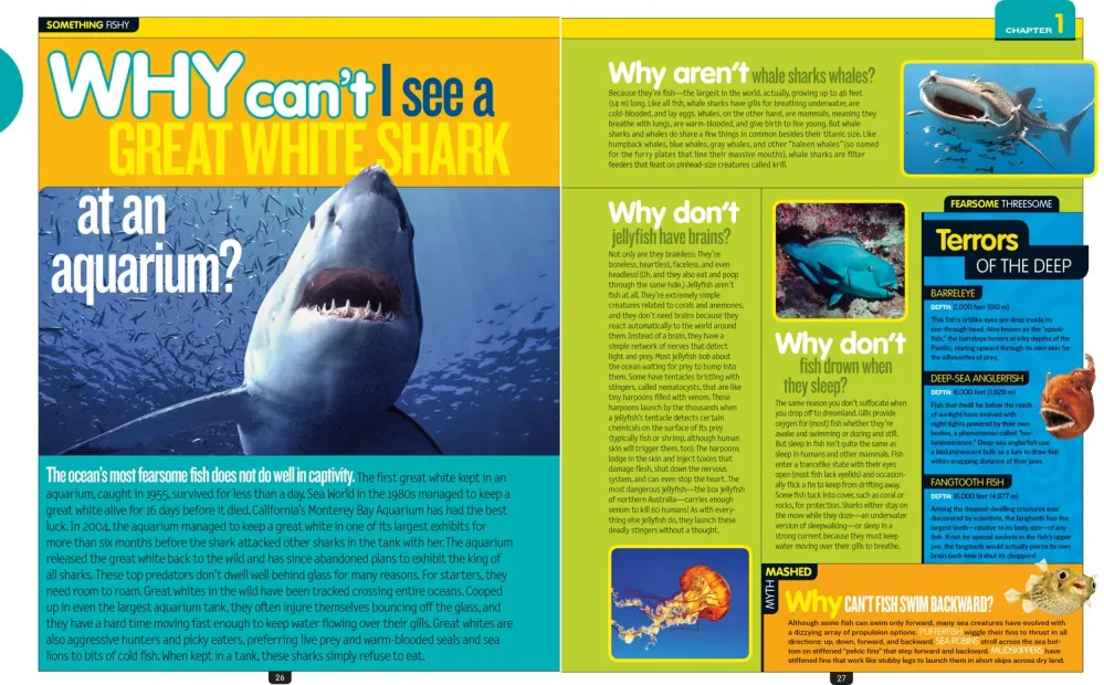 National Geographic Why Not?? 1.111 Answers to Everything