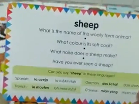 Flashcards My First Animals obrázky s otázkami v angličtině