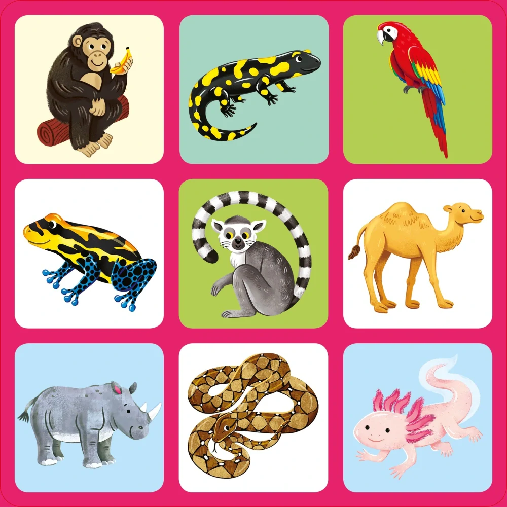 Zoo Matching Games and Book bingo v angličtině pro děti