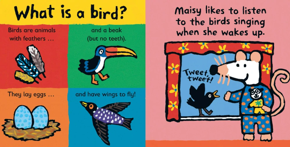 Maisy Loves Birds kniha v angličtině o ptácích s myškou Maisy