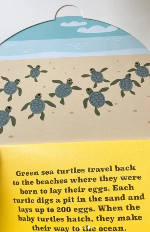 Animal Atlas: A Pop-Up Book Atlas zvířat v angličtině interaktivní