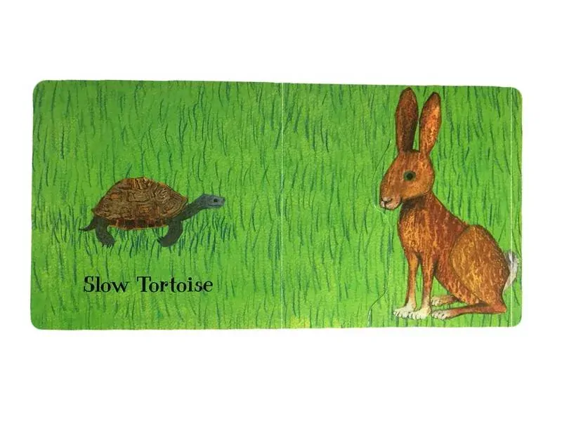 Who Is the Biggest? Petr Horáček (board book)
