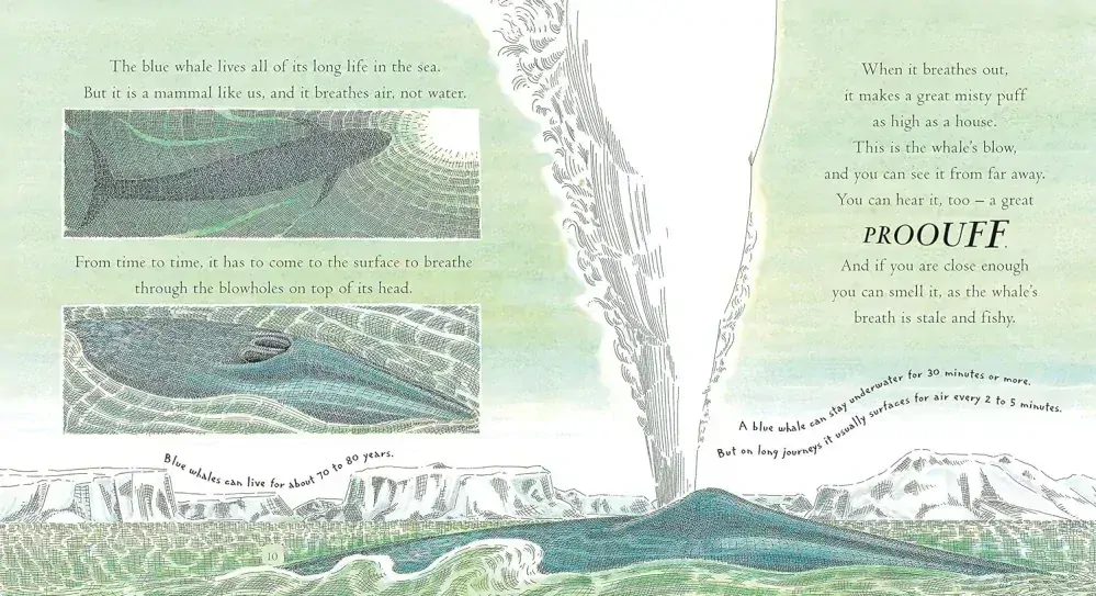 Big Blue Whale kniha od Nicoly Davies