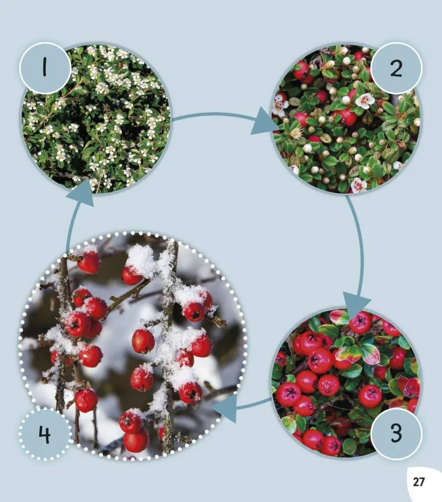 Read with Oxford: Weather and Seasons počasí v angličtině