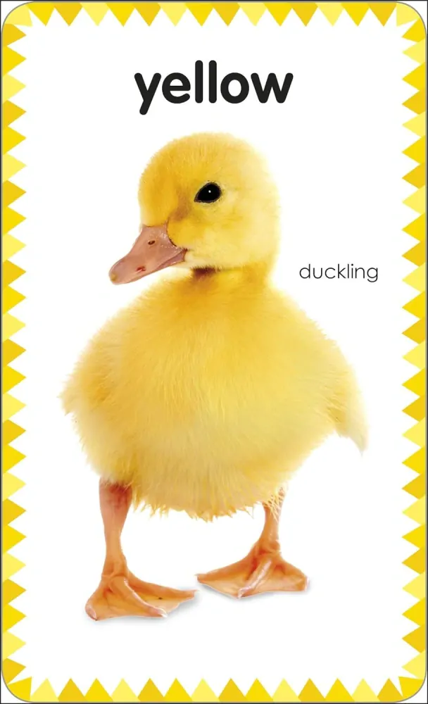 Flashcards My First Colours & Shapes obrázky s otázkami