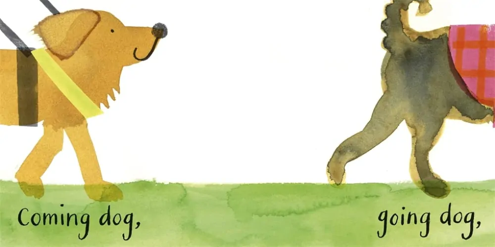 All the Dogs kniha v angličtině pro malé děti milovníky psů