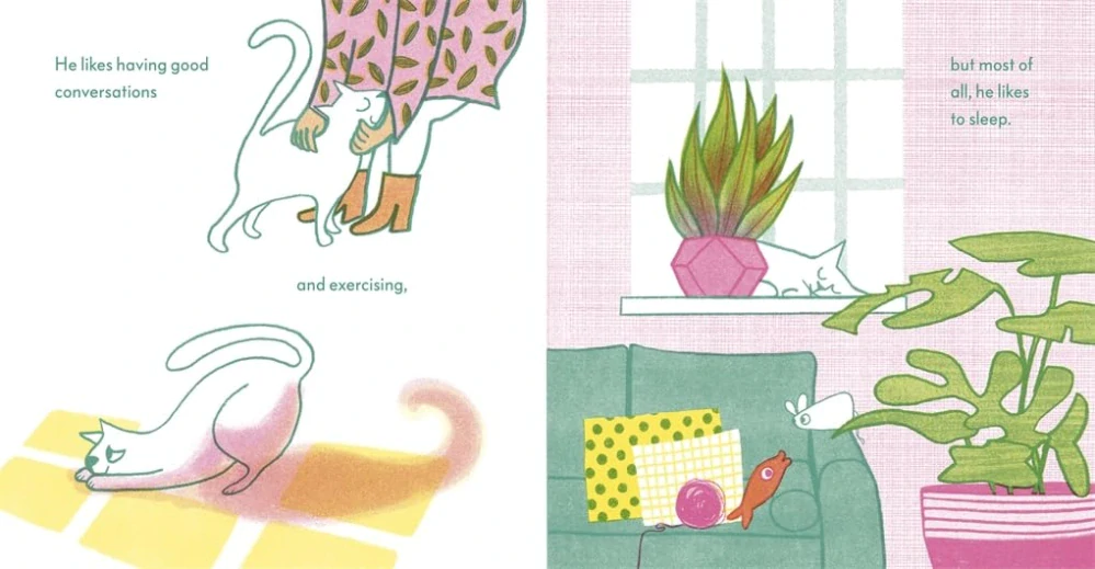 Where Is the Cat? obrázková kniha v angličtině pro děti