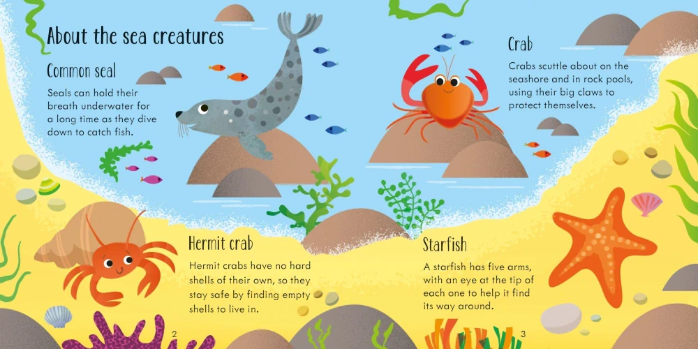 Under the Sea Matching Games and Book hra bingo a kniha