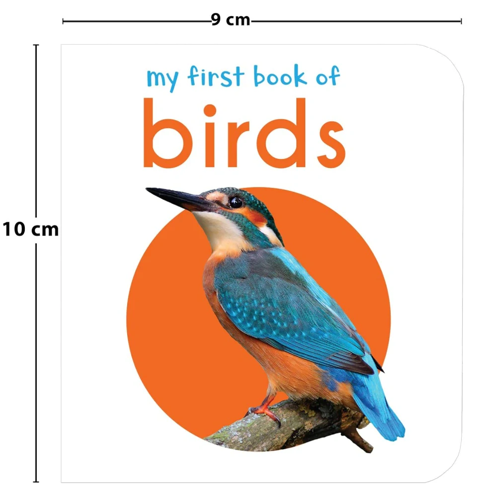My First Book of Birds MINI knížka ptáci v angličtině ve fotografii