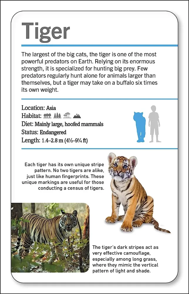Animals of the World Flash Cards zvířata na kartách v angličtině