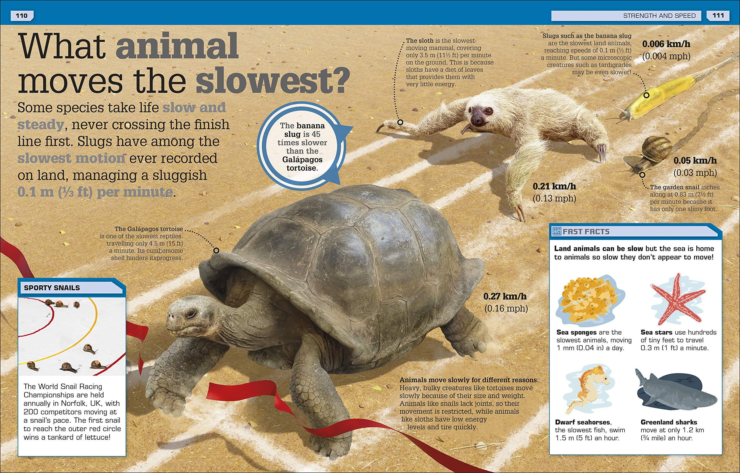 It Can't Be True! Animals!: Unbelievable Facts About Animals