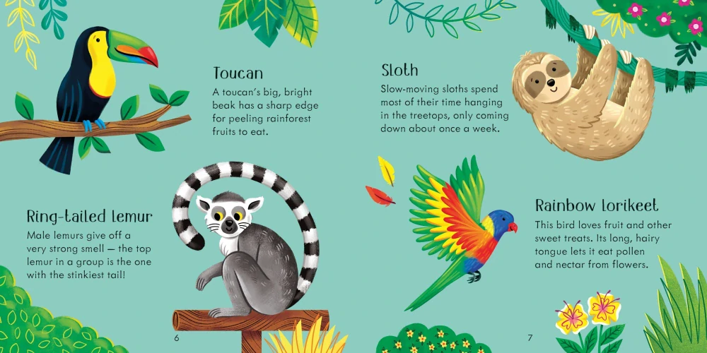 Zoo Matching Games and Book bingo v angličtině pro děti