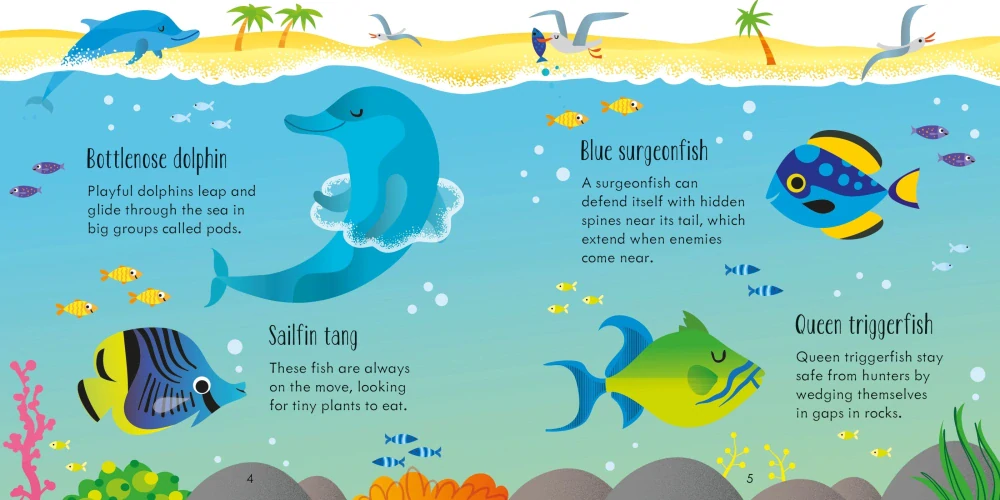 Under the Sea Matching Games and Book hra bingo a kniha
