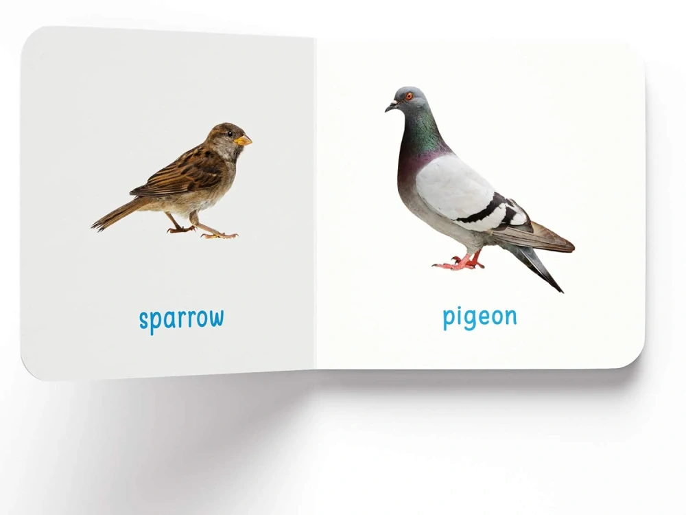 My First Book of Birds MINI knížka ptáci v angličtině ve fotografii