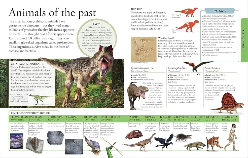 The New Children's Encyclopedia encyklopedie v angličtině