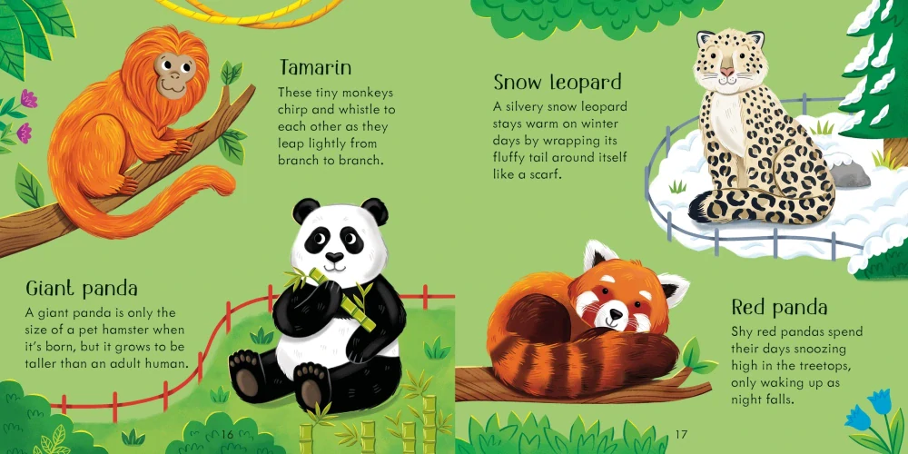 Zoo Matching Games and Book bingo v angličtině pro děti