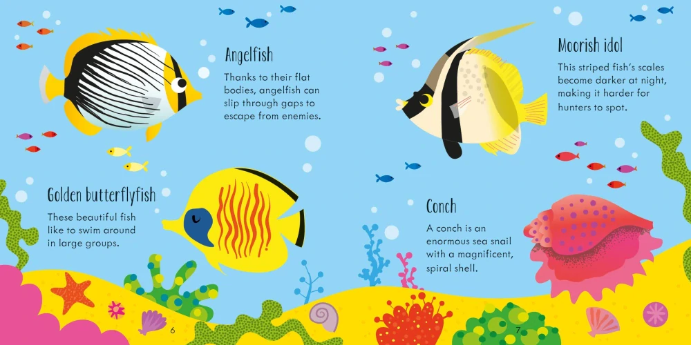 Under the Sea Matching Games and Book hra bingo a kniha