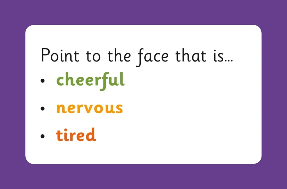 Vocabulary Flashcards porozumění textu s obrázky v angličtině