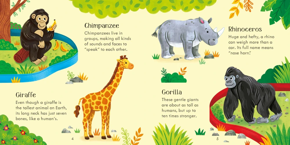 Zoo Matching Games and Book bingo v angličtině pro děti