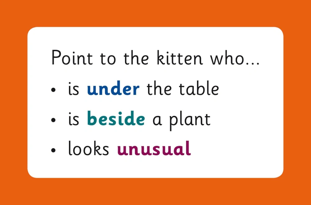 Vocabulary Flashcards porozumění textu s obrázky v angličtině