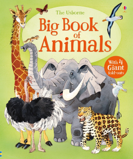 Big Book of Animals velká kniha o zvířatech v angličtině
