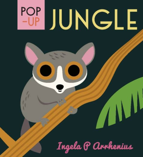 Pop-up Jungle zvířata z džungle anglicky