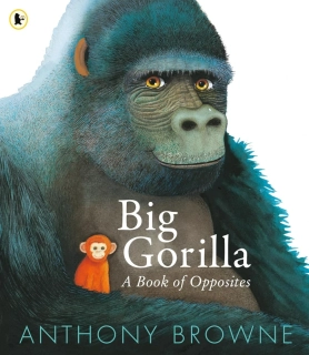 Big Gorilla: A Book of Opposites protiklady s opičkami v angličtině