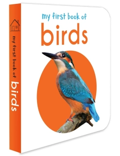 My First Book of Birds MINI knížka ptáci v angličtině ve fotografii